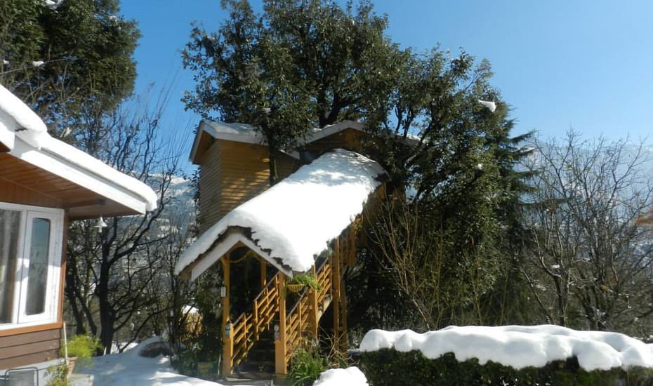 Tree House Cottage Manali Rooms Rates Photos Reviews Deals